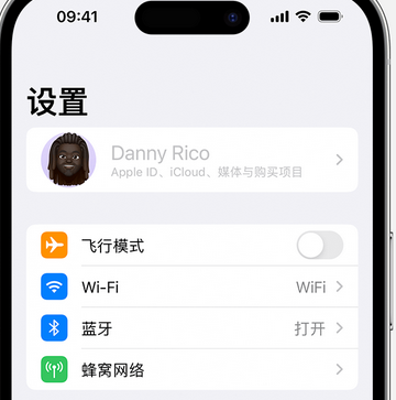 陈场镇appleID维修服务iPhone设置中Apple ID显示为灰色无法使用 