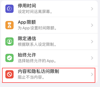 陈场镇appleID维修服务iPhone设置中Apple ID显示为灰色无法使用