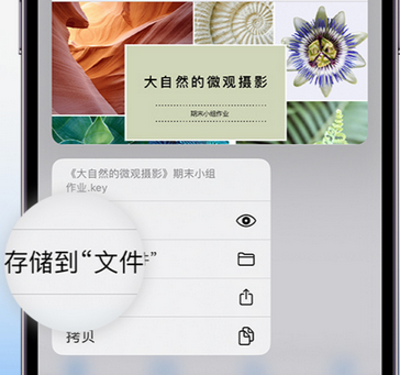 陈场镇apple维修中心分享iPhone文件应用中存储和找到下载文件