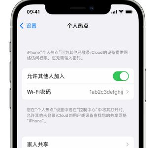 陈场镇apple服务站点分享iPhone上个人热点丢失了怎么办