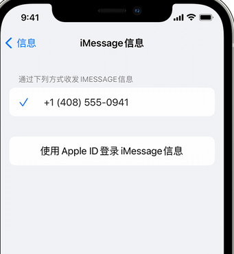 陈场镇apple维修iPhone上无法正常发送iMessage信息 