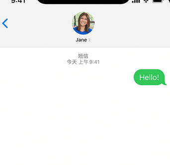 陈场镇apple维修iPhone上无法正常发送iMessage信息