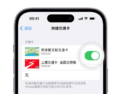 陈场镇apple维修点分享iPhone上更换Apple Pay快捷交通卡手绘卡面 