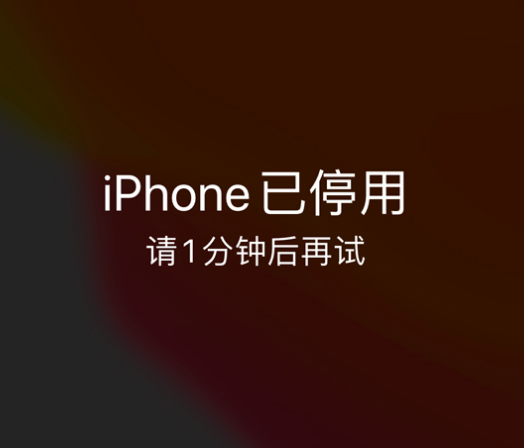 陈场镇苹果手机维修分享:iPhone 显示“不可用”或“已停用”怎么办？还能保留数据吗？ 