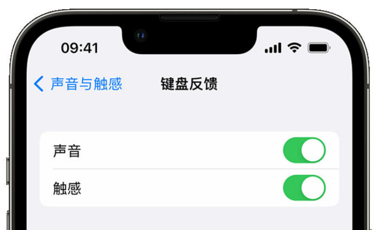 陈场镇苹果手机维修分享iPhone 14触感键盘使用方法 