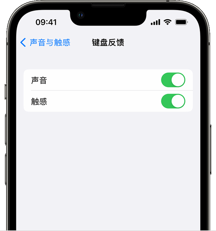 陈场镇苹果14维修店分享如何在 iPhone 14 机型中使用触感键盘 