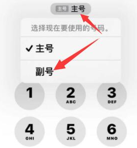 陈场镇苹果14维修店分享iPhone 14 Pro Max使用副卡打电话的方法 