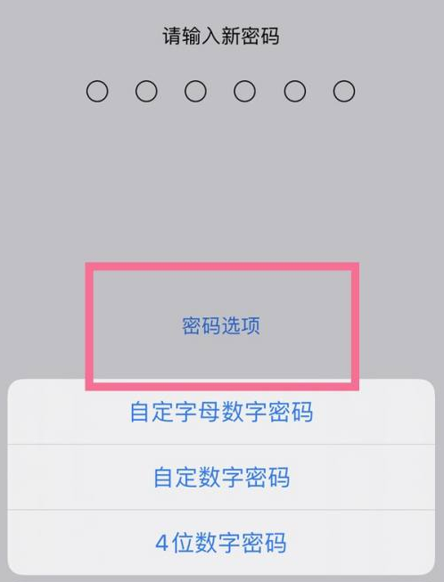 陈场镇苹果14维修分享iPhone 14plus设置密码的方法 