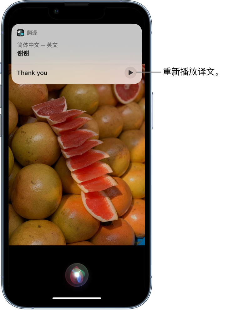 陈场镇苹果14维修分享 iPhone 14 机型中使用 Siri：了解 Siri 能帮你做什么 