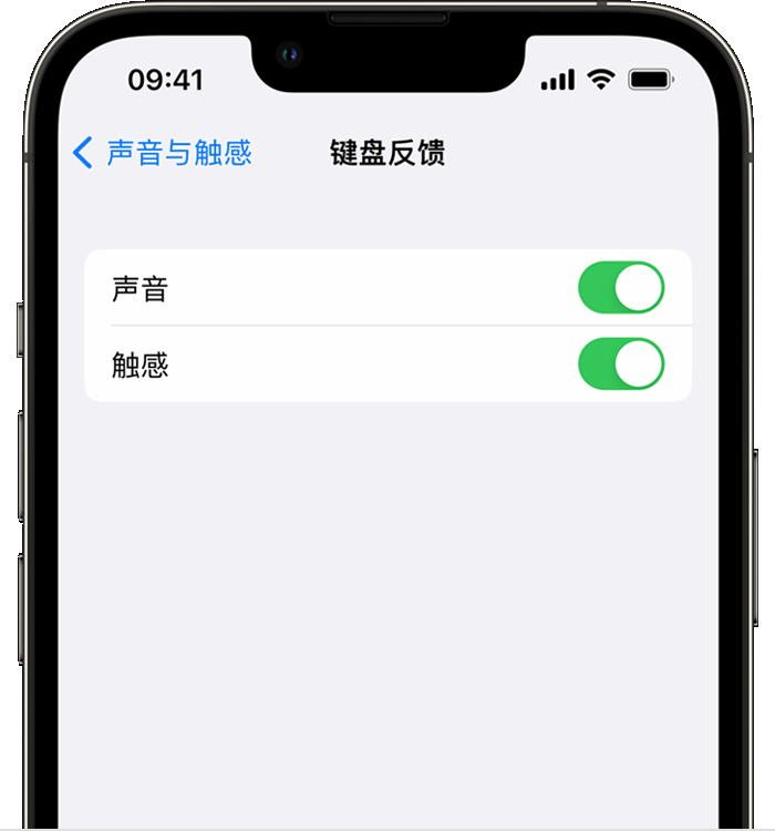 陈场镇苹果14维修分享iPhone 14 系列机型如何开启键盘声音或触感反馈 