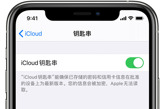 陈场镇苹果手机维修分享在 iPhone 上开启 iCloud 钥匙串之后会储存哪些信息 