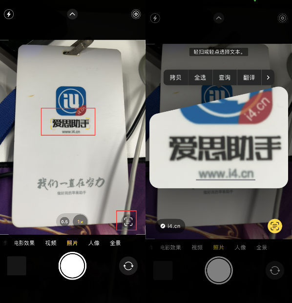 陈场镇苹果手机维修分享升级iOS 16后如何通过相机翻译文本 