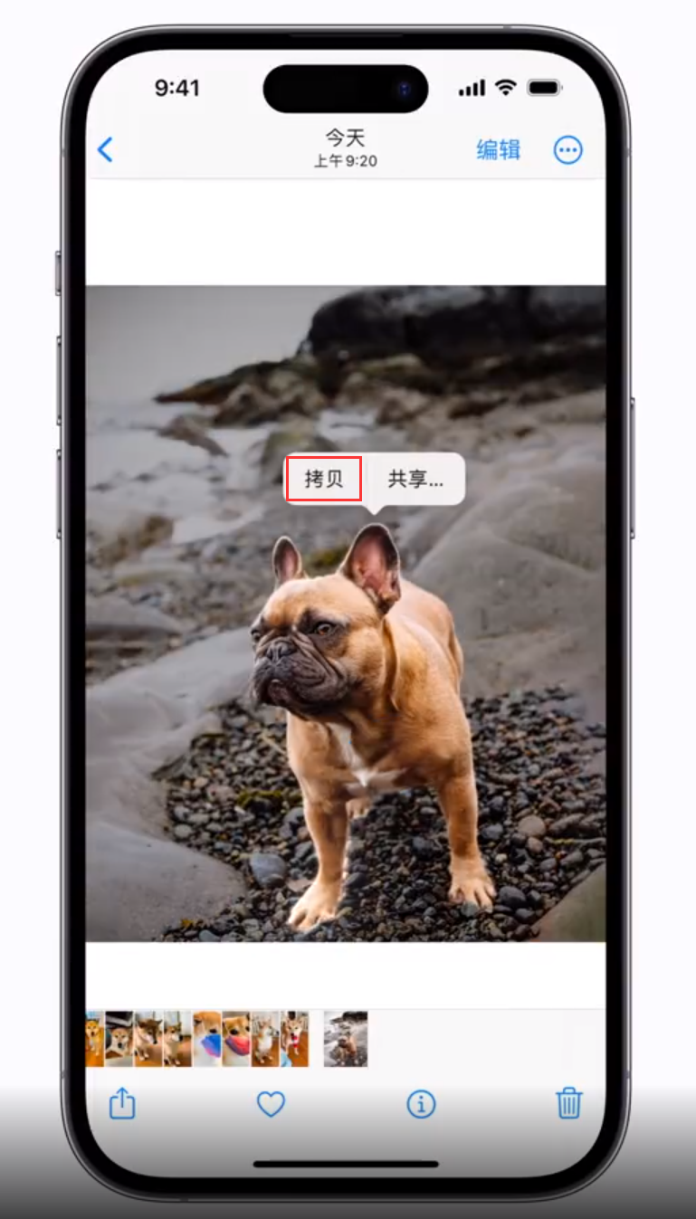 陈场镇苹果手机维修分享 iOS 16 自带一键抠图功能 