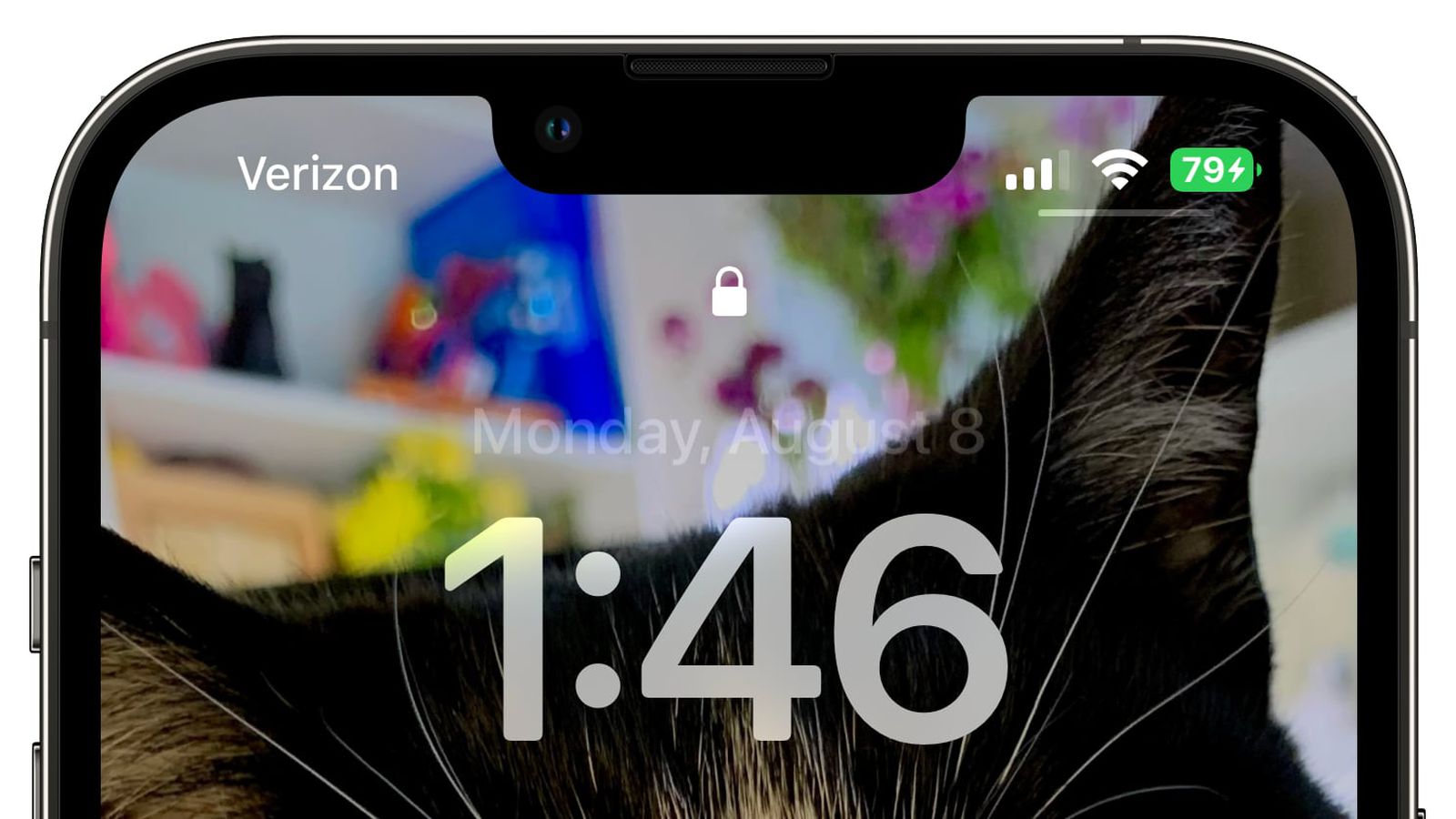 陈场镇苹果手机维修分享iOS 16 beta 5 支持状态栏显示电池百分比，如何开启？支持哪些机型 