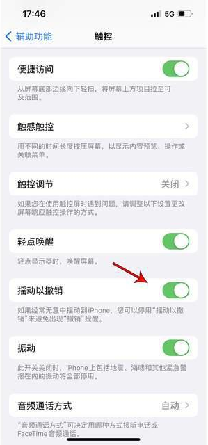 陈场镇苹果手机维修分享iPhone手机如何设置摇一摇删除文字 