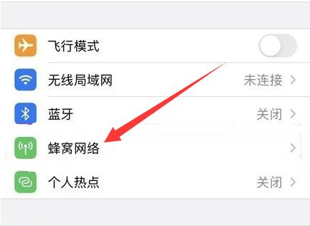 陈场镇苹果手机维修分享iPhone手机4G网络怎么设置成5G网络 