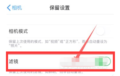 陈场镇苹果13维修分享iPhone13拍照有绿点是怎么回事 