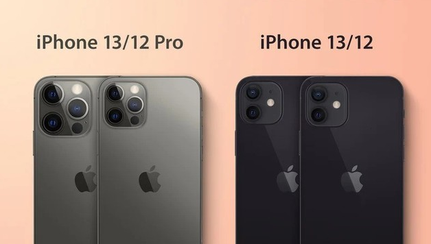 陈场镇苹果手机维修分享iPhone 13 摄像头长什么样 