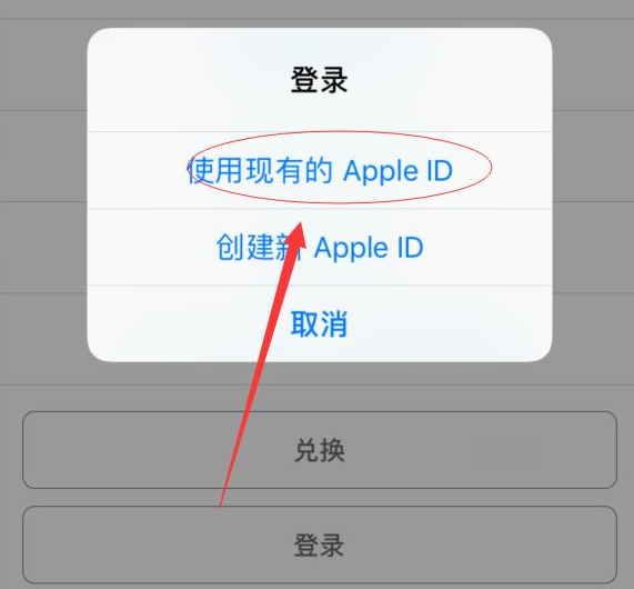 陈场镇苹果手机维修分享两台iPhone设备可以同时登录一个Apple ID吗 