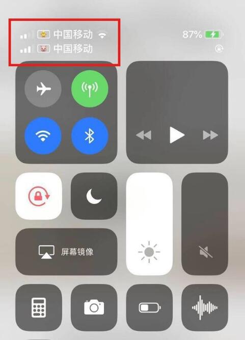 陈场镇苹果手机维修分享为 iPhone 12 双卡设置标签 