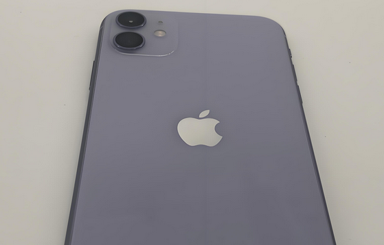 陈场镇苹果11系统维修分享iPhone11手机系统崩溃无法开机如何解决 